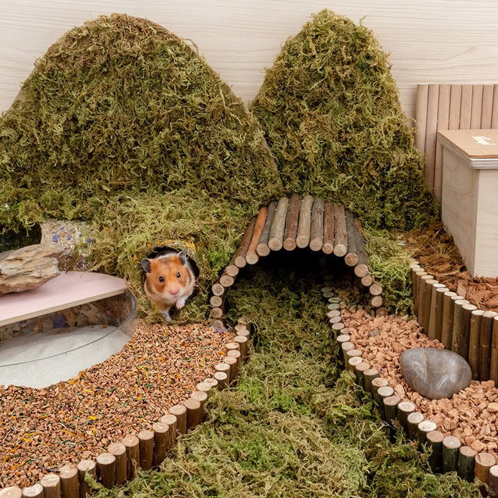 Enhance Your Hamster's Habitat with Oak Cork Bedding
