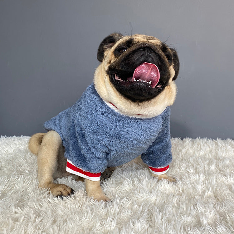 Warm Knitted Pet Sweater: A Must-Have for Your Furry Friends