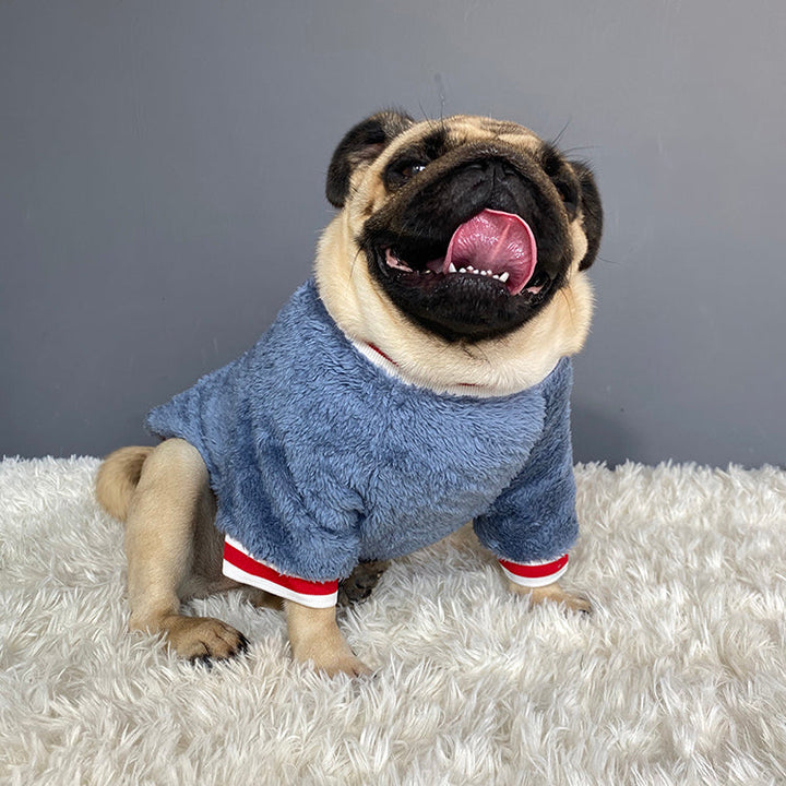 Warm Knitted Pet Sweater: A Must-Have for Your Furry Friends