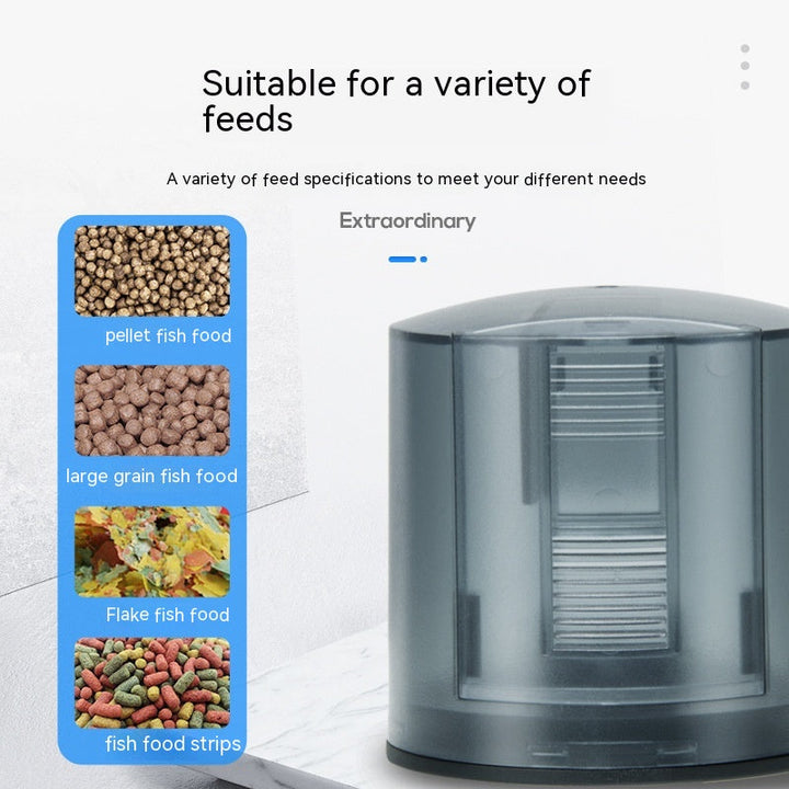The Ultimate Solution for Fish Lovers: Intelligent Timed Fish Tank Feeder