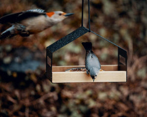 Discover the Charm of Our Outdoor Garden Hanging Bird Feeder