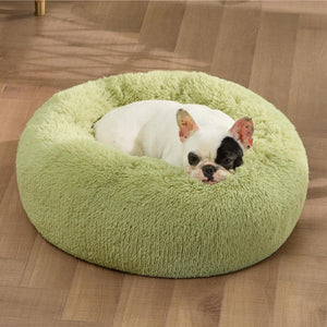 The Fluffiest Retreat for Your Furry Friend