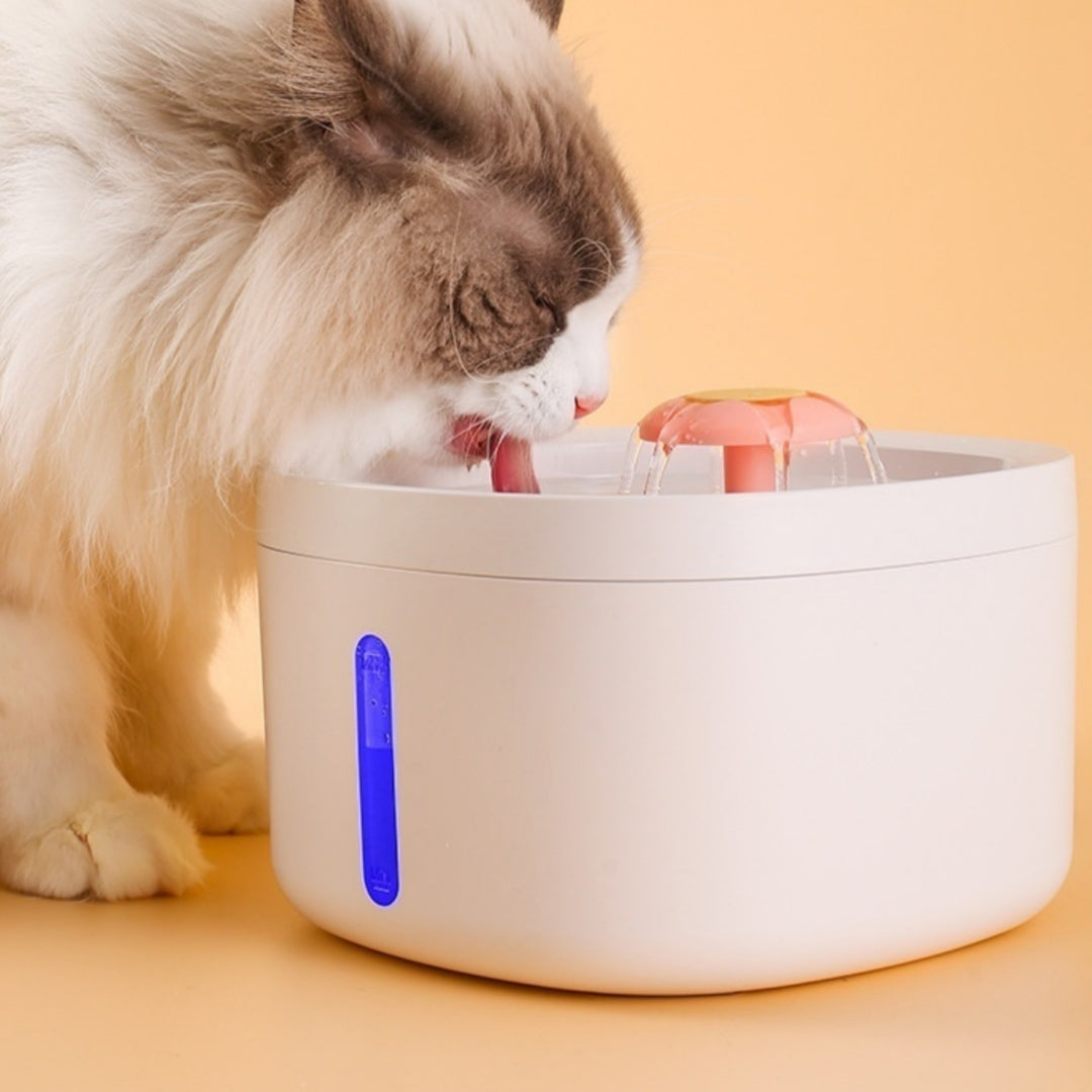 Enhance Your Pet's Hydration with the Smart Induction Filtered Pet Water Fountain