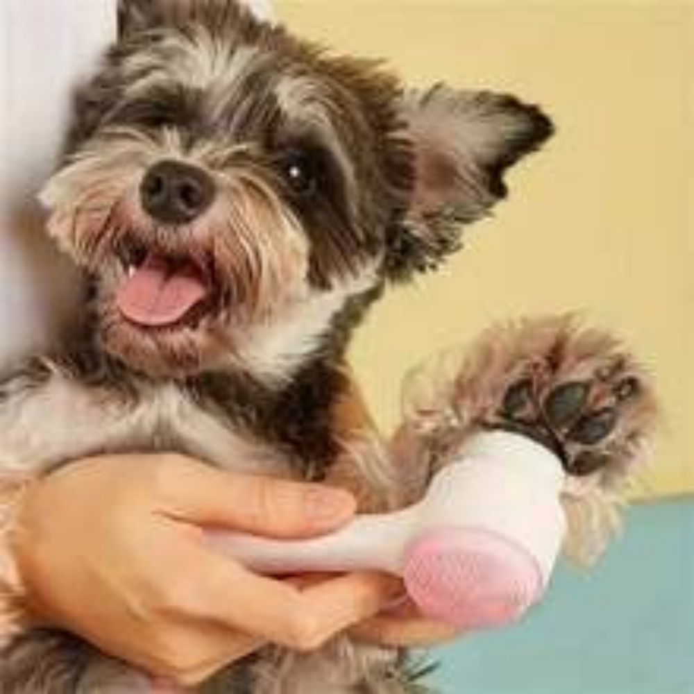 Nylon Pet Paw Brush For Gentle Grooming And Massage