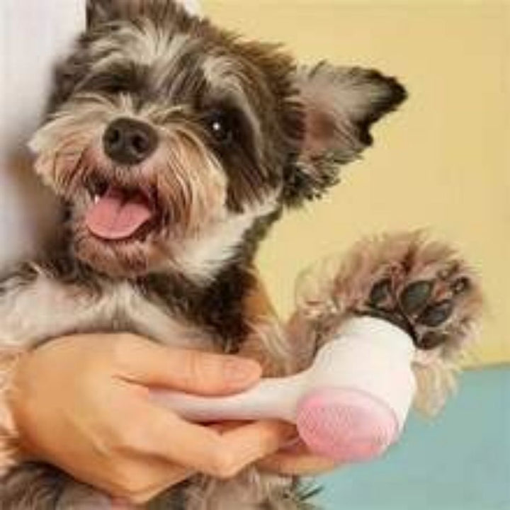 Nylon Pet Paw Brush For Gentle Grooming And Massage