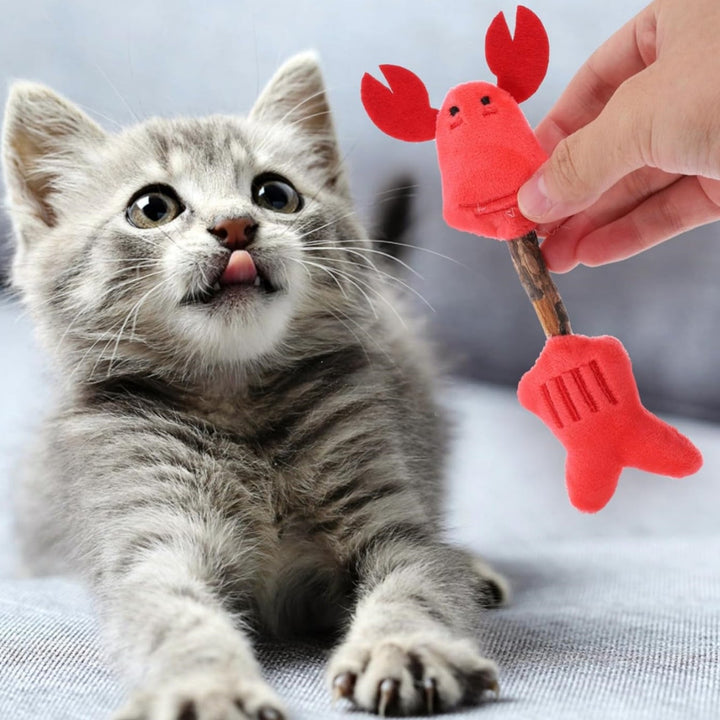 The Joy of Play: Discover the Silvervine Stick Pet Chew and Teasing Interactive Toy